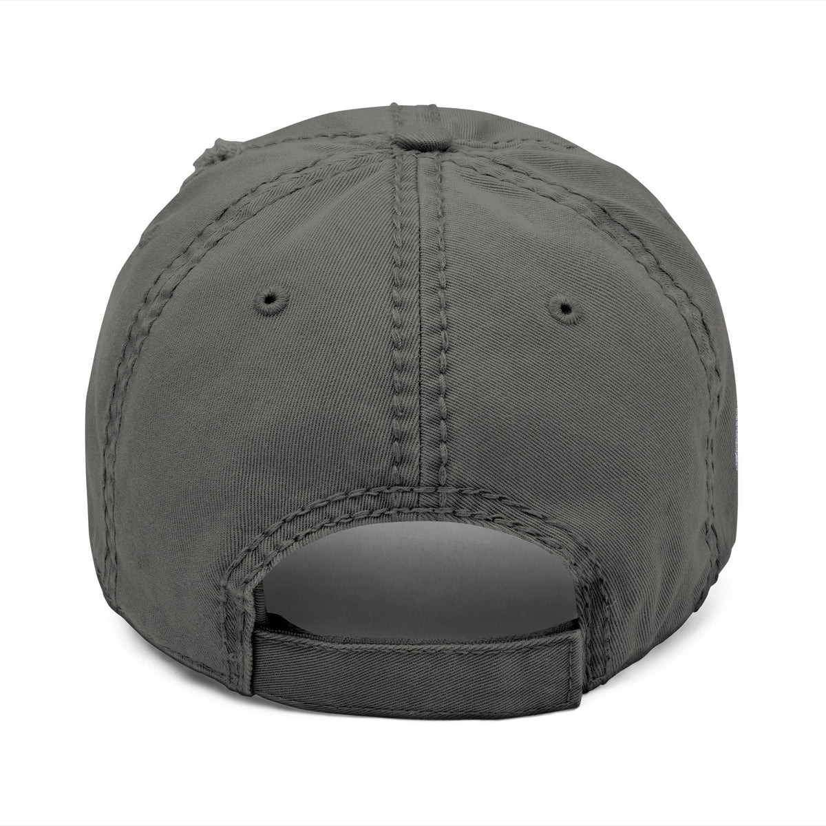 VISIONARIES- Dad Hat (Embroidery)