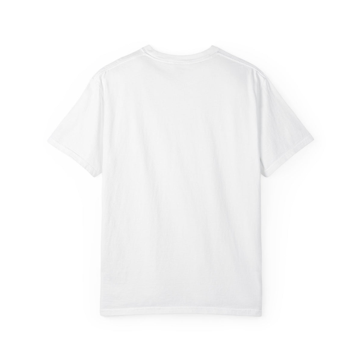 THE SNOWBOARDER - VISIONARIES - Tee
